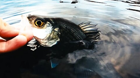 Fishing in the Tennessee River