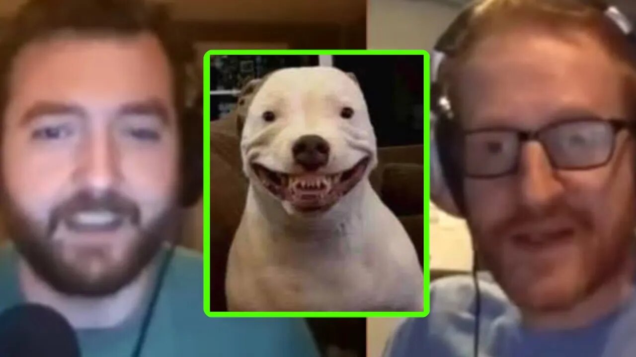 PKA vs Steve Hoftetter pitbull debate