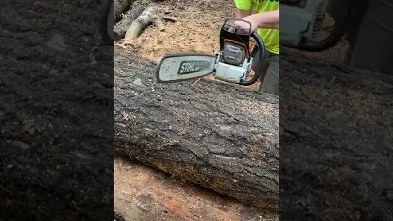 Stihl 500i Chainsaw Through Red Oak #Shorts #stihl #firewood