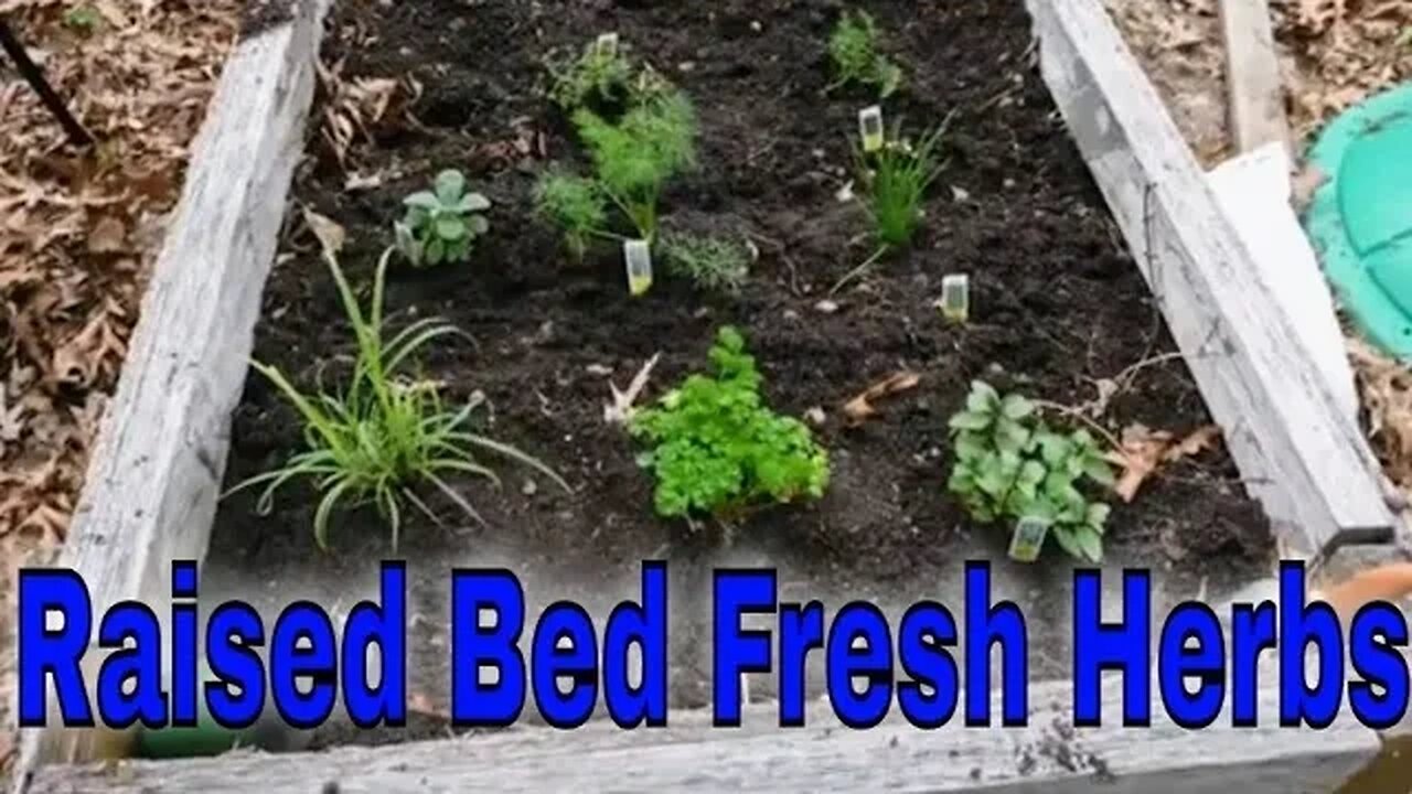 Raised Bed Herbs Garden