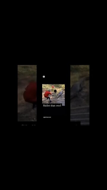 Crocodile smack skillet