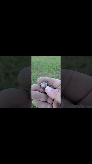 Nice MB!! #relic #coins #buttons #metaldetecting #silver #treasure #trending #civilwar #battlefield