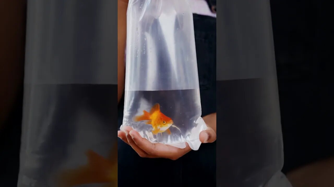 Wait for it..... #shorts #outdoors #nature