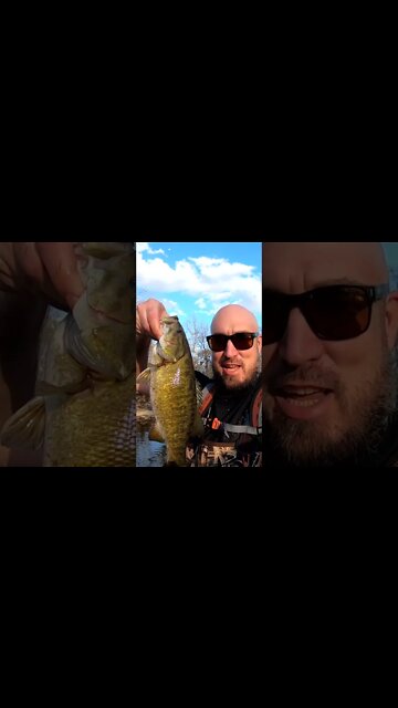 Winter bass fishing in ohio