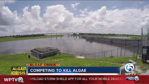 Efforts underway to prevent algae blooms in Florida and around the world