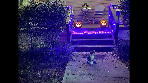 Happy Halloween!