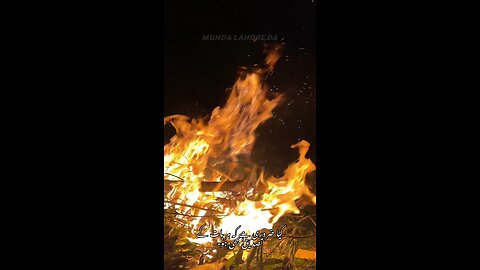Stary Night with Fire in the woods 🔥🔥 #nature #poetry #truth #mountains #mountainlife #bonfire