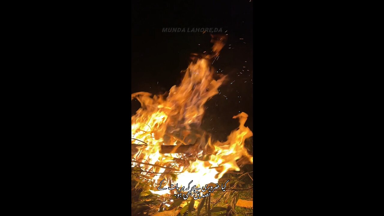 Stary Night with Fire in the woods 🔥🔥 #nature #poetry #truth #mountains #mountainlife #bonfire