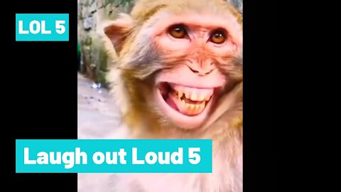 Laugh out Loud 5