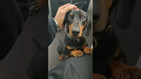 Started A New Job, This Is The Best Perk