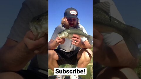 That crank bait bite be turning up!! #shorts #youtube #youtubeshorts