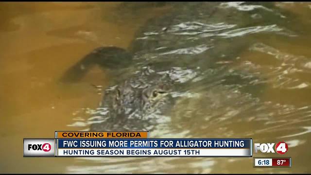 Florida Wildlife issuing more permits for alligator hunting