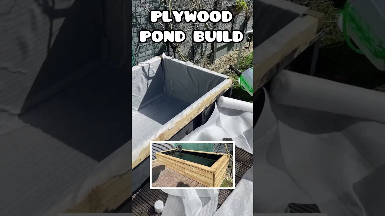 EPIC PLYWOOD POND BUILD 😍🎏 #pondbuild #goldfish #koifish #gardenpond #deckingpond #fancygoldfish