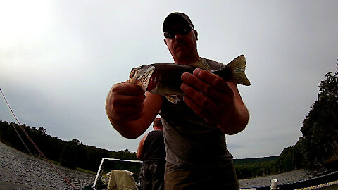 Catching Bass in the Coves