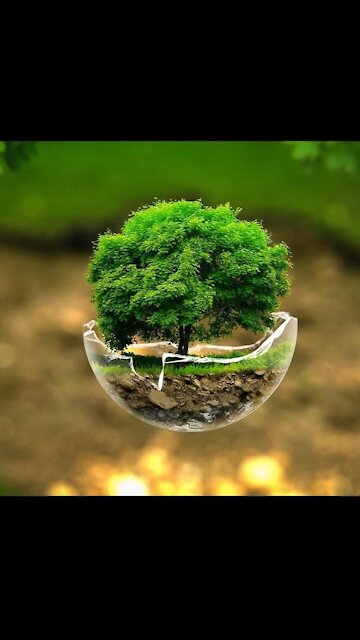 See its nature with Arab tones🤍