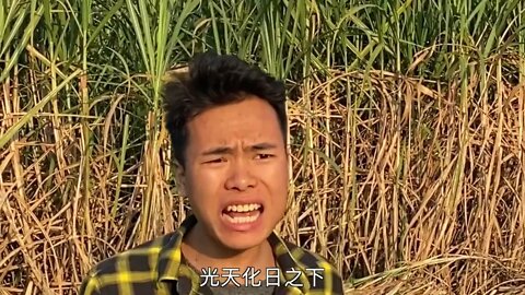偷隔壁家一条甘蔗，被六个人追了几公里，后面吃一脸灰