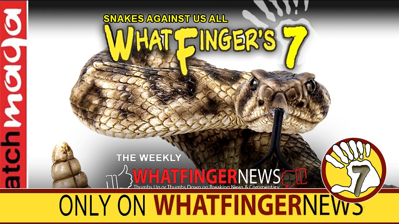 SNAKES AGAINST US ALL: Whatfinger's 7