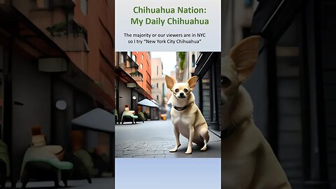 I try "New York City Chihuahua" to see what the AI comes up with. #shorts