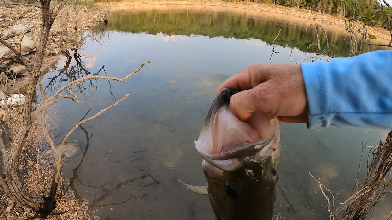 Big Bass Crushes My Topwater Bait