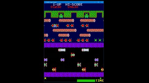 Arcade Games - Frogger