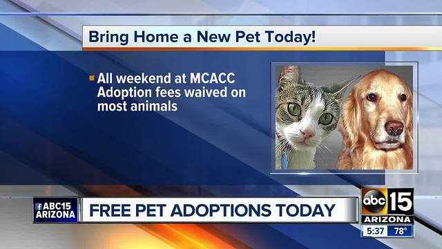 Free pet adoptions this weekend in Valley!