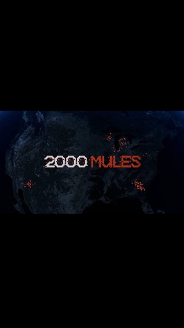 2000 Mules
