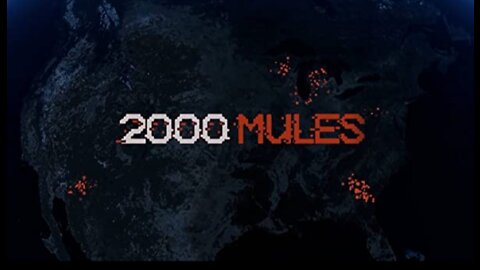 2000 Mules