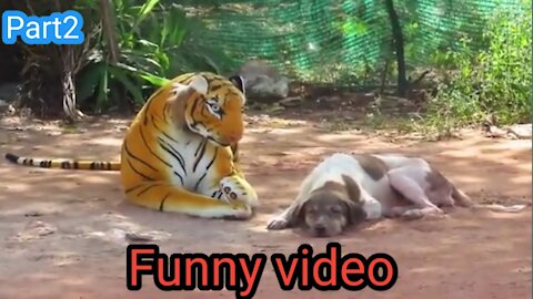 Dog fake tiger prank // prank video dog and tiger