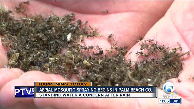 Palm Beach Co. to begin aerial spraying for mosquitoes