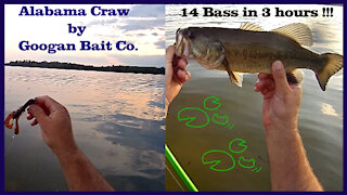 Googan Bait Krackin Craw Catches Big Bass