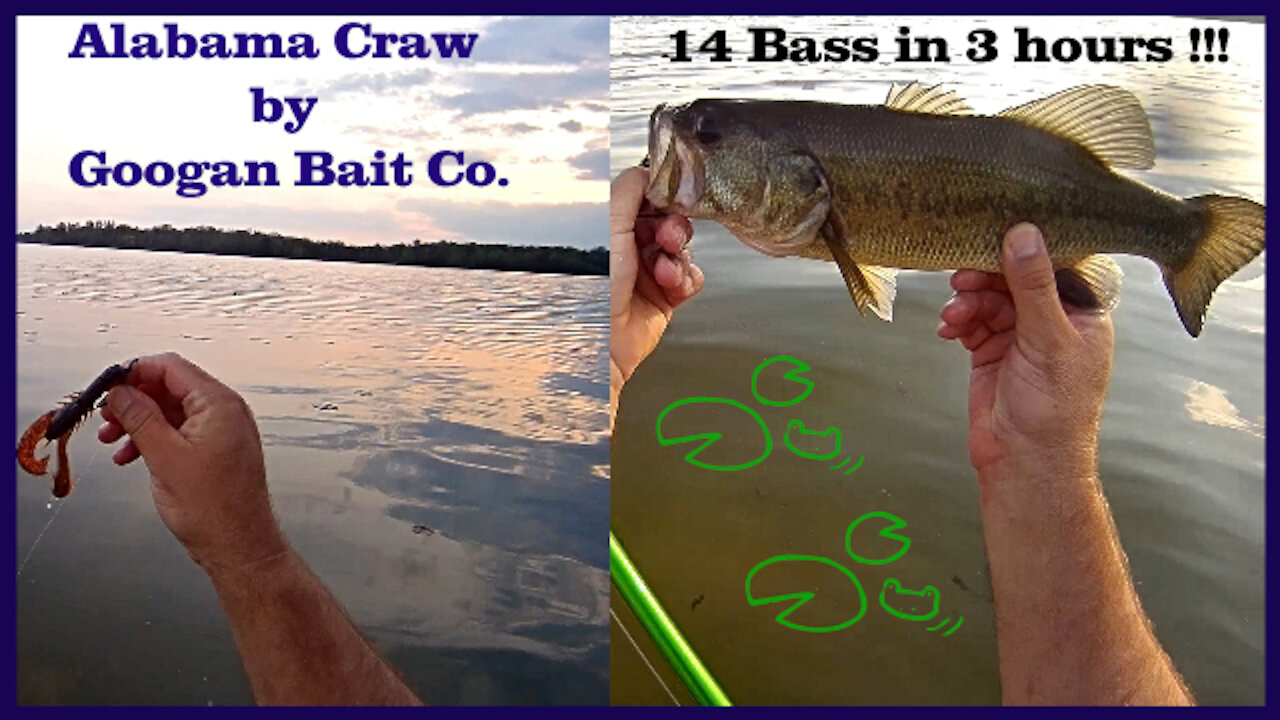 Googan Bait Krackin Craw Catches Big Bass