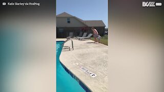 Pai atira filha à piscina e torna-se viral na internet!