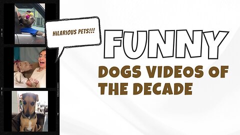 Best dogs videos of the decade