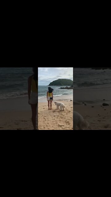 Human or dog? Pick one