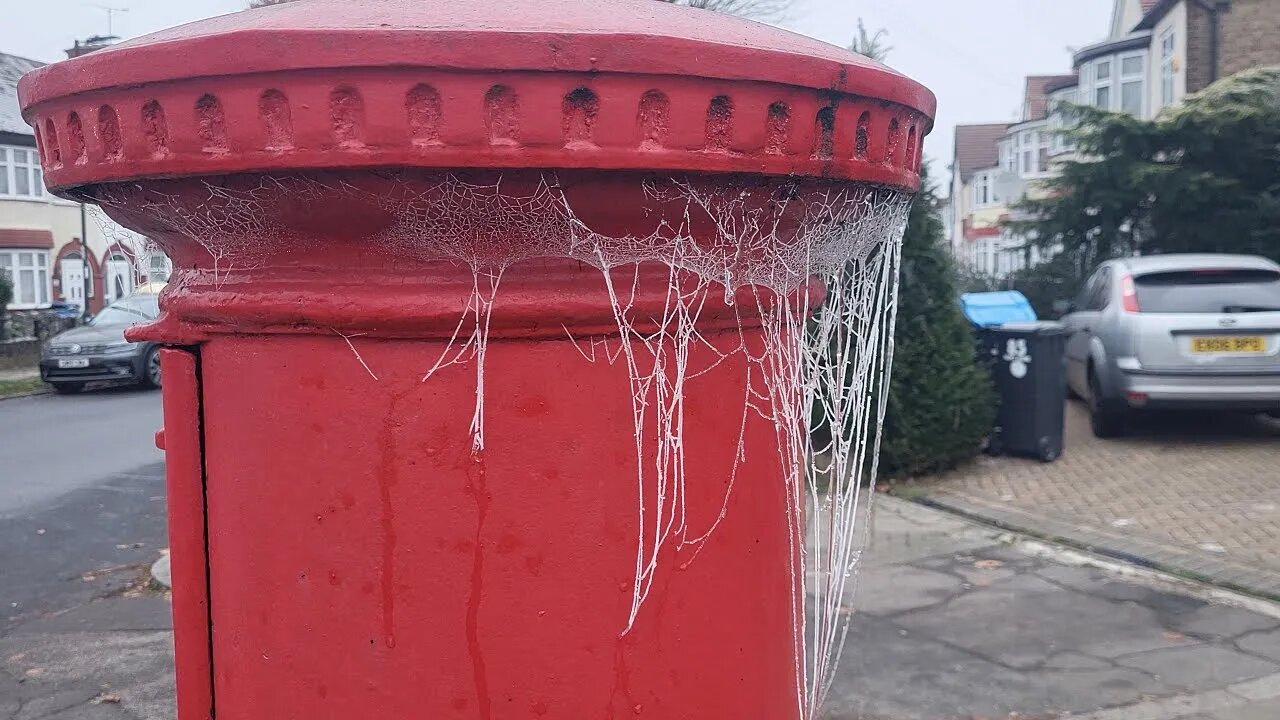 Frozen Cobwebs | LONDON | 10th December 2022