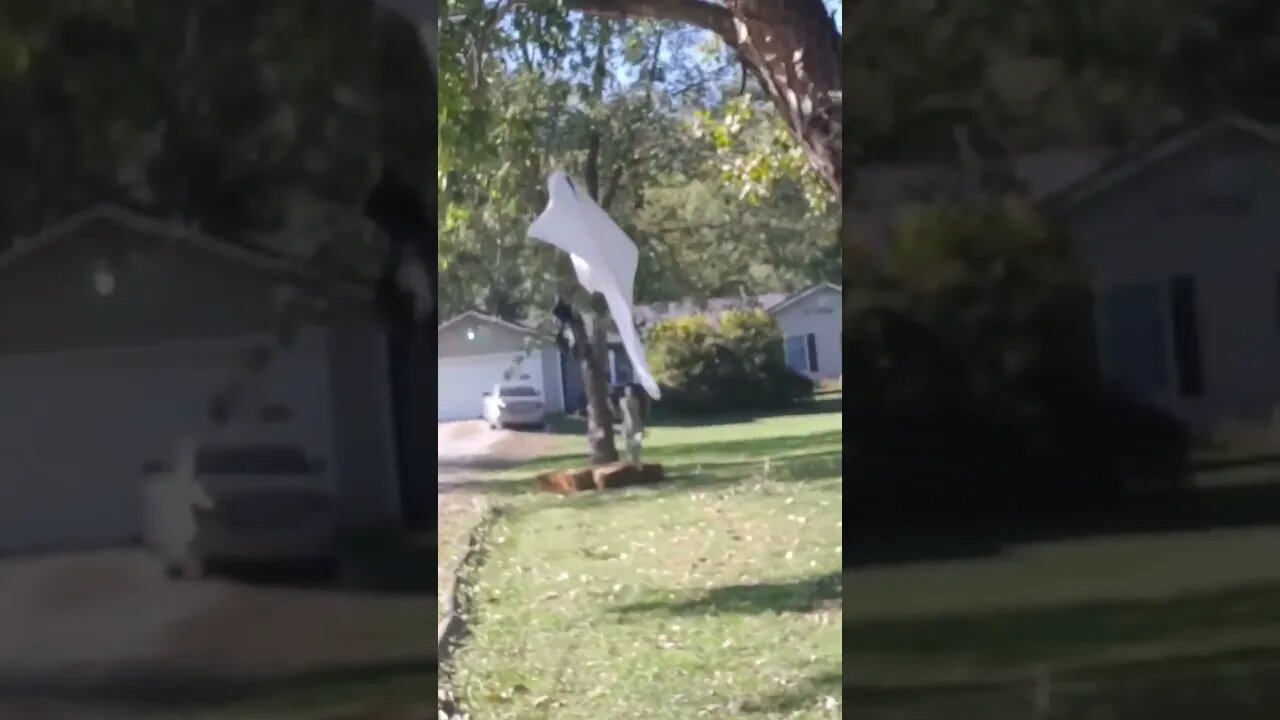 Amazing Swingin Dead Girl. Fixed Video Here - https://youtu.be/7AKwc6Z_jXQ?si=saxLq10Y8dYyg4gB