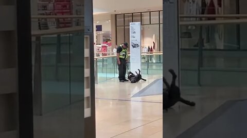 Dog Takes Break From Work