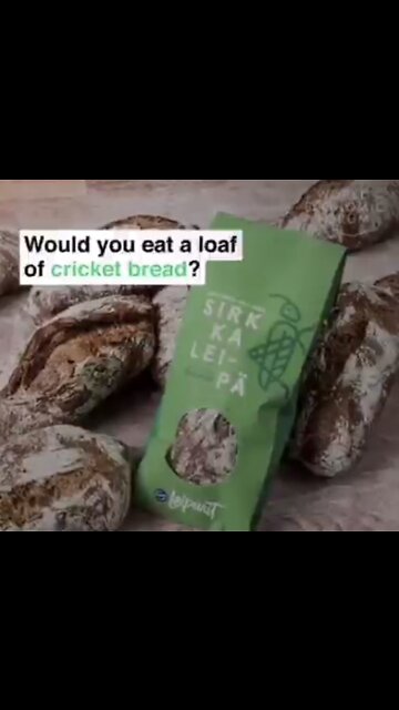 They Want You Eating Insects!