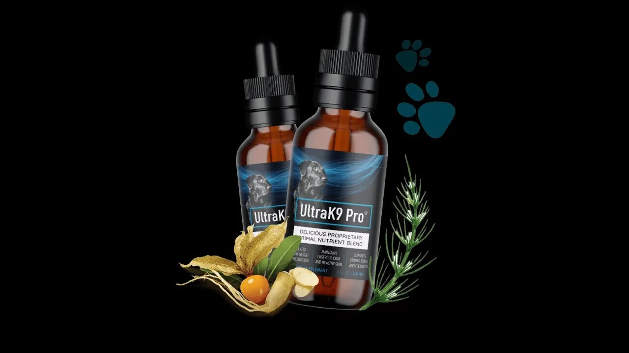 Ultra K9 Pro Supplement for Dogs: The Ultimate Solution to Optimal Health and Nutrition