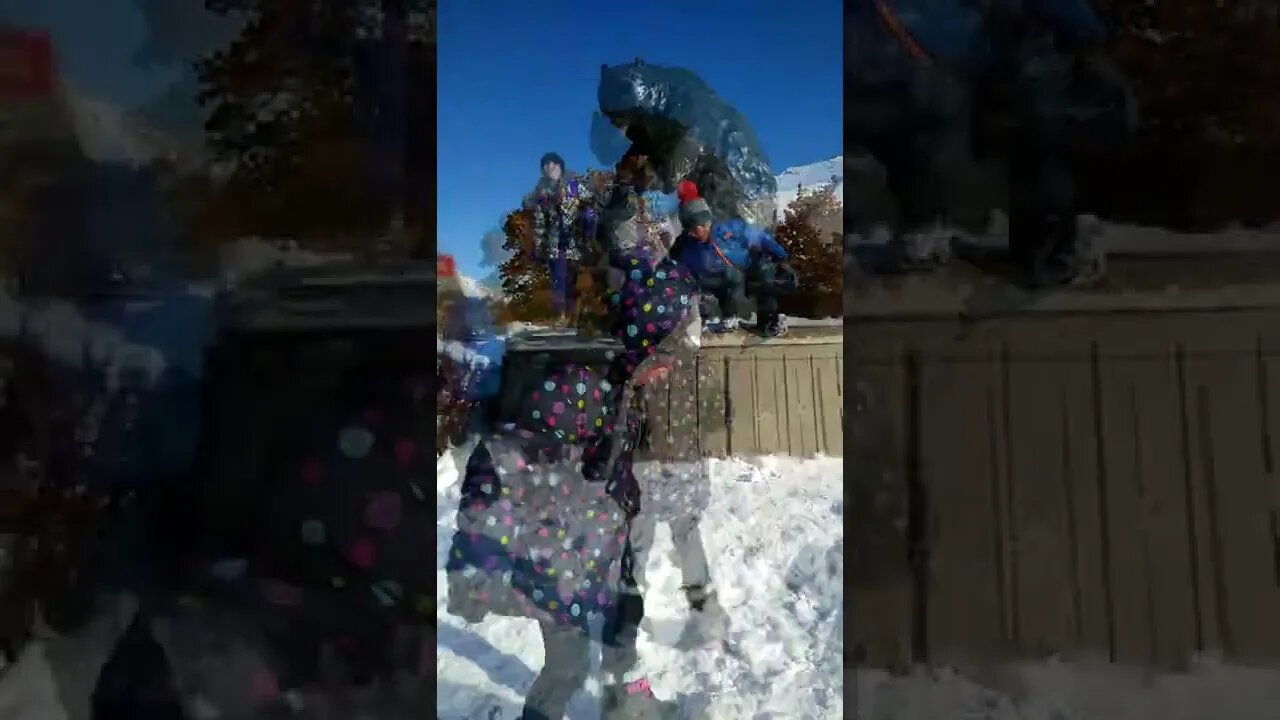GRIZZLY Experience