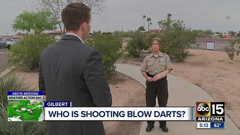 How park rangers are trying to track down whoever is shooting darts at wildlife in Gilbert