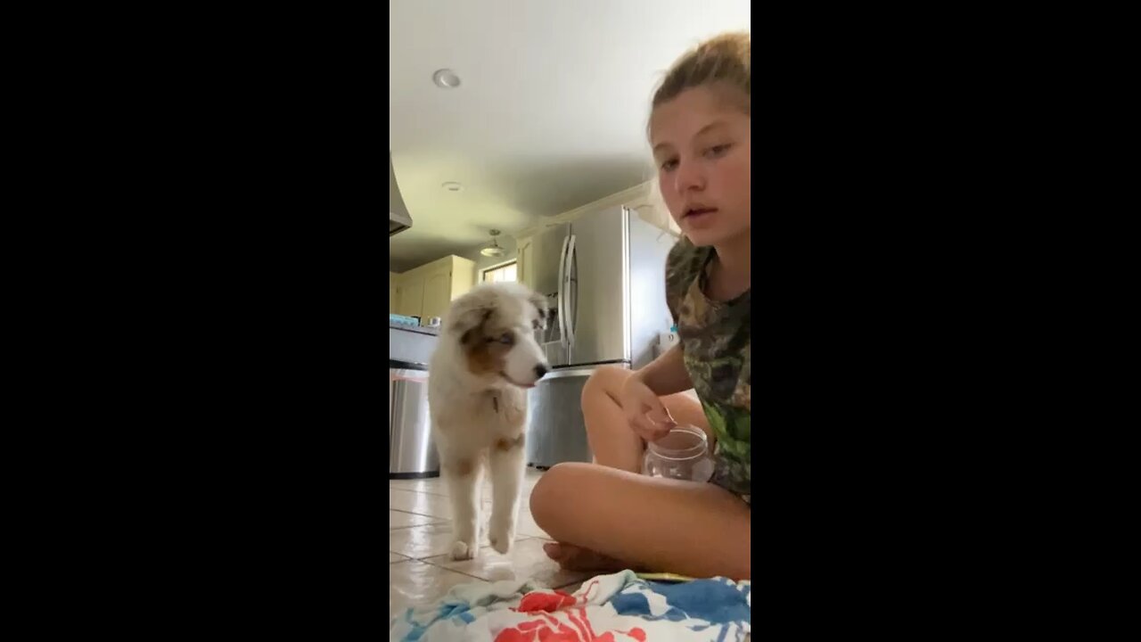 Teaching an Aussie
