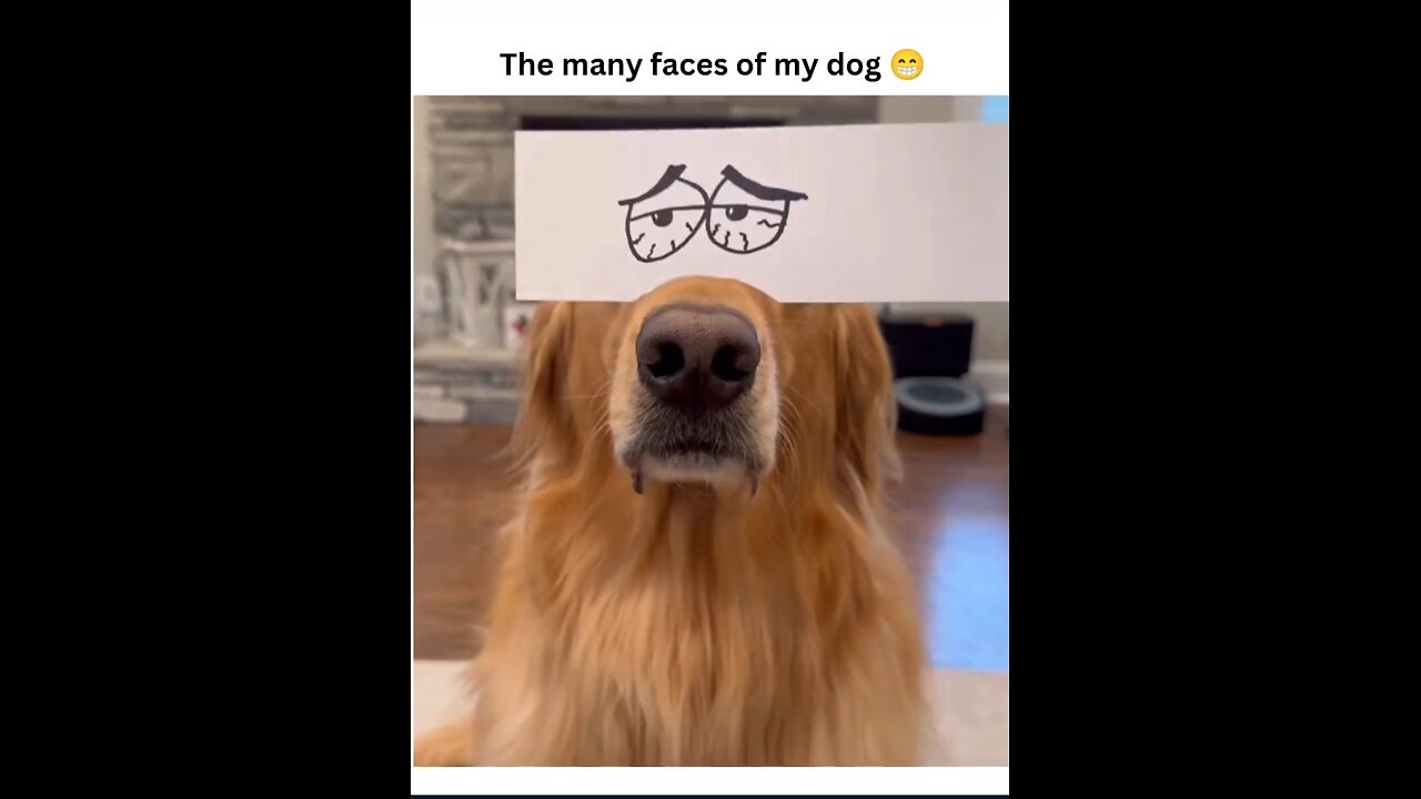 did you like this video 😁