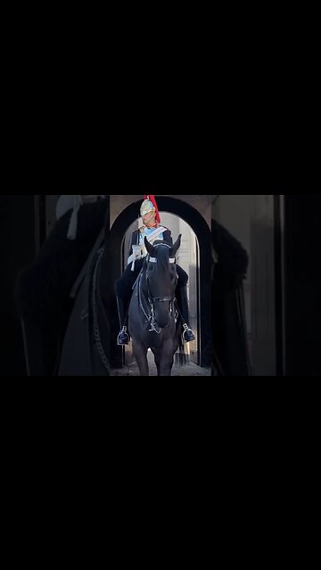 She realised Quickly #horseguardsparade