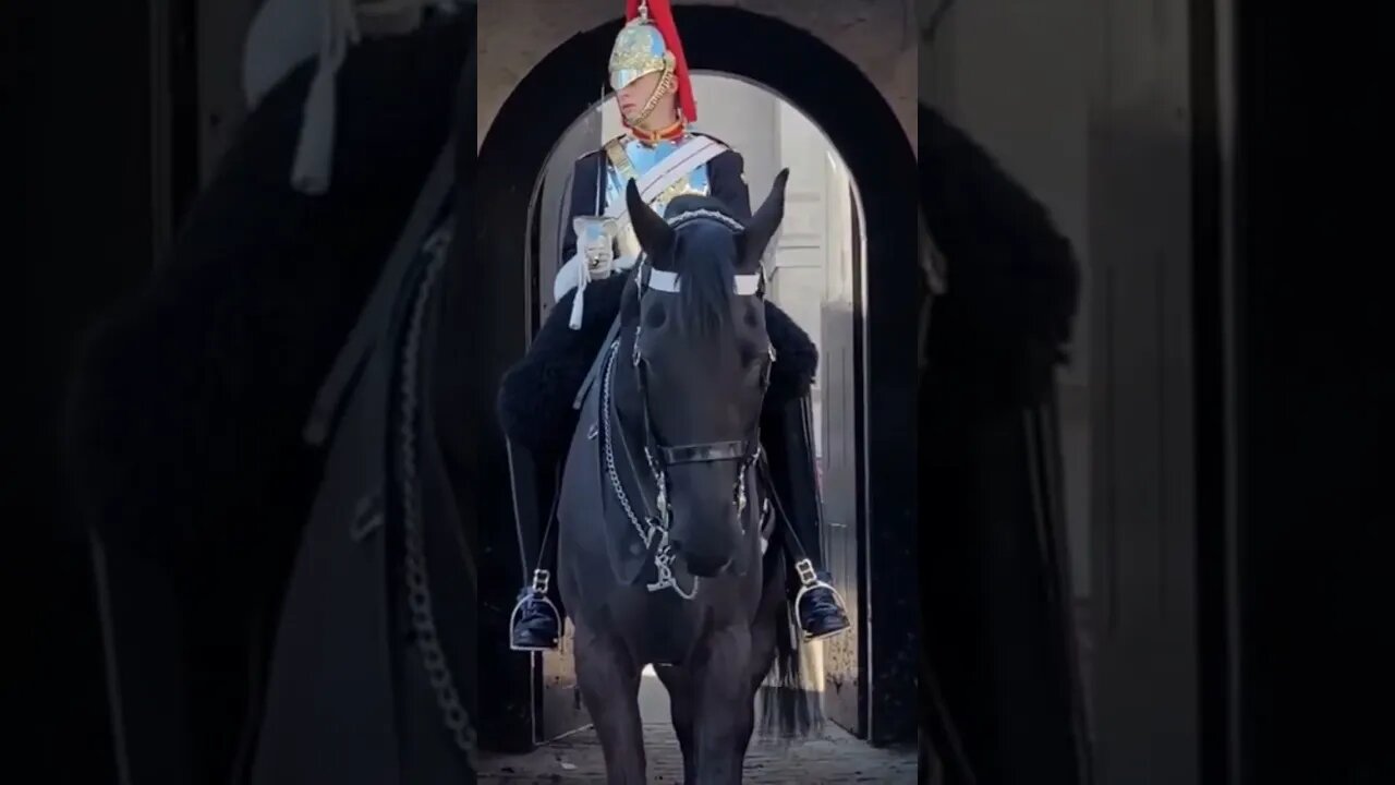 She realised Quickly #horseguardsparade