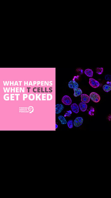 What Happens When T Cells Get Poked #shorts
