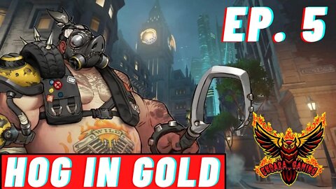 Best of Hog 5 | Gold | Overwatch 2