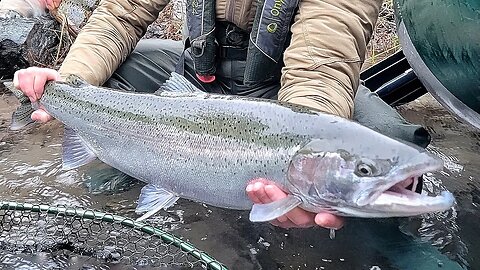 Float setups and techniques for Steelhead! | Fixed to Slip Floats