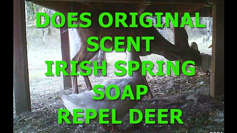 DOES IRISH SPRING SOAP REPEL DEER?