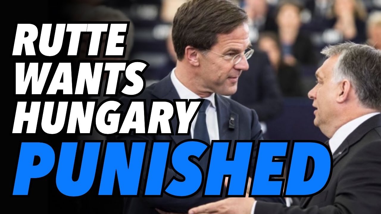 Dutch PM Rutte wants to bring Orban, "Hungary to its knees"